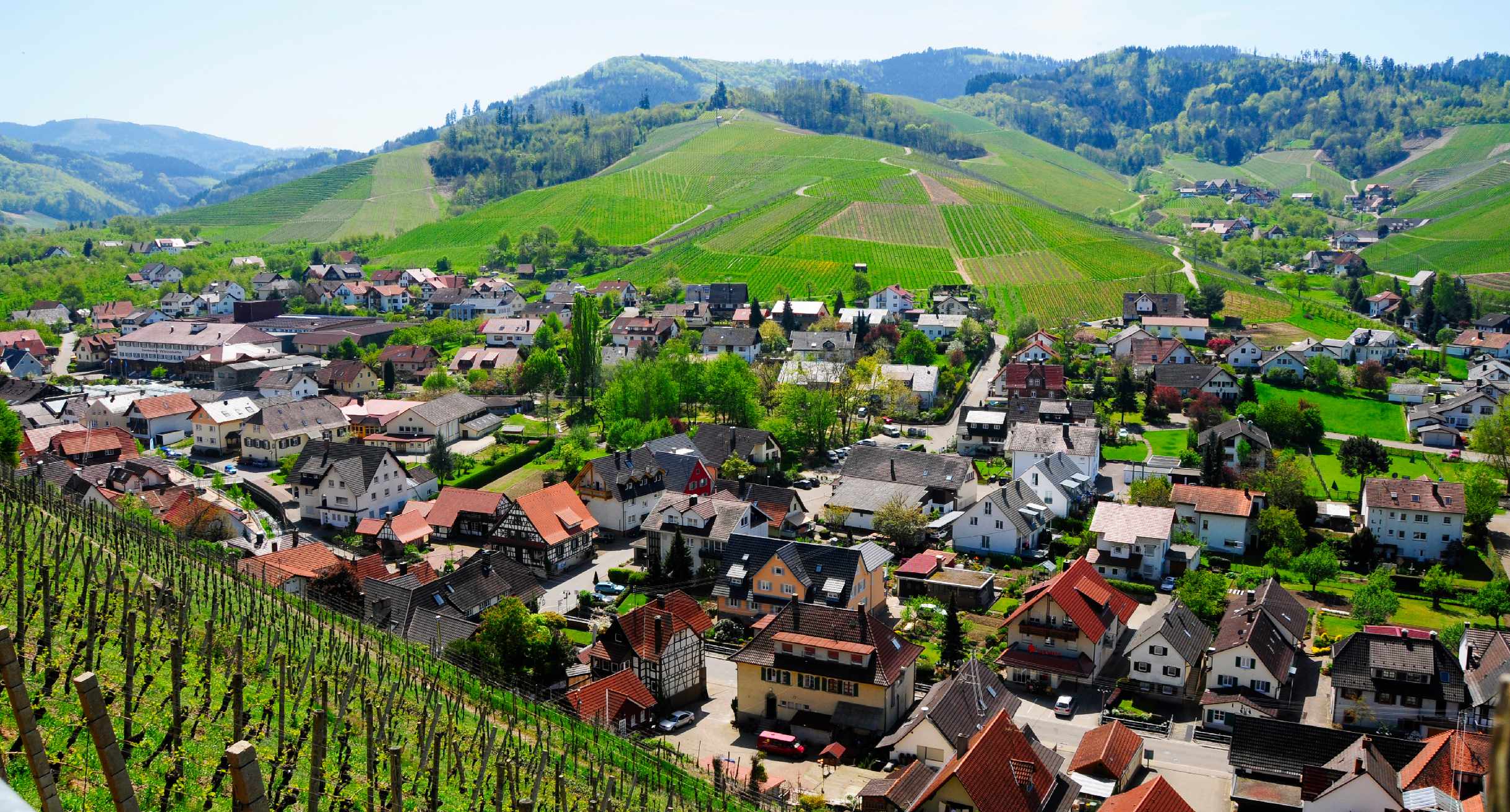 Ortsansicht von Durbach an der badischen Weinstraße
